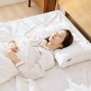 M앤S메디칼 | 슬립앤슬립 아이유베개 S 내돈내산 장점 단점 후기