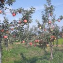 바우농장 이미지