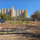 모화2리 이미지