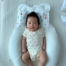 채원디자인 | 아티포페(Artipoppe) 아기띠 구매 후기 / 왜 비싼 아기띠라고 불릴까? 이주일 사용 솔직 후기