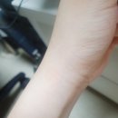 샐잇