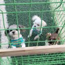 용천농원 이미지