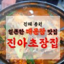 진아초장집