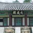 숲속의화이트캐슬 네이버블로그