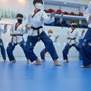 상록수태권도 이미지