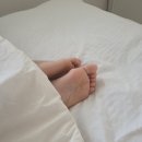 본우리집밥 이마트의왕점 | [신혼일기] 경제적 자유를 꿈꾸는 신혼부부의 주말 보내는 법✨ (feat.이마트 피코크 메뉴 추천)