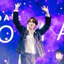 플레로마 이미지