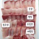 감포횟집 이미지