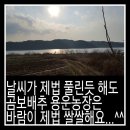 용운농장 이미지