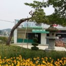 금강조경 이미지