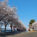 화개산복도로길 이미지