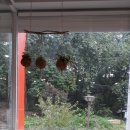 부칸산837 이미지