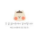 눈썹달 | 졸렌JOLEN 냄새없는 브라운 셀프 눈썹탈색약 시간,비율,꿀팁 (눈썹염색 한달 후기)