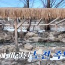 설온