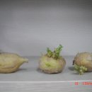 주식회사강민 티스토리