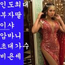 인도 최고 갑부 딸의 1.000억원대 결혼식. ♥♥ 이미지