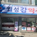 월성강약국