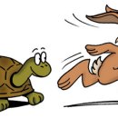 토끼와거북이 이미지