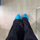 둘리 | 세종 신혼부부 이사 비용 업체 후기 : 둘리익스프레스 내돈내산 찐후기