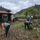 새마을할머니 경로당 이미지