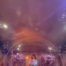 BUBBLE ZONE(버블존) 이미지