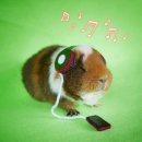 이솔한의원 | < 8月 : Welcome >