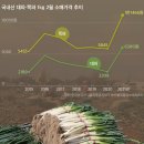 대파상회
