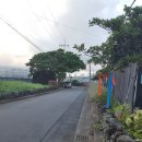 월평하원로 이미지