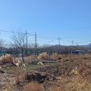 오천화물