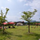 단감테마공원 이미지