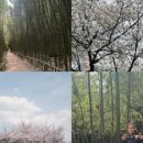 용산이모코다리찜 이미지