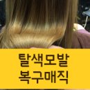 장미원미용실 네이버블로그