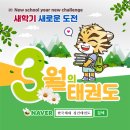 한국체대 영웅태권도장 이미지