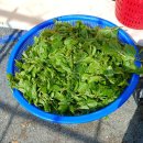 야산농장 이미지