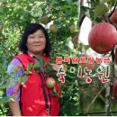 봄뫼 네이버블로그