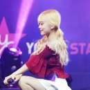 홀릭스
