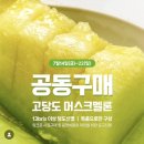 콩지네 부엌 | 강아지 멜론 급여 / 유기견 후원 멜론 공구 / 강아지 멜론 수제간식 만들기
