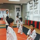 한국체대 중앙태권도 이미지