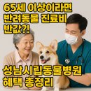 성남 시립동물병원 | [공유] [성남시] 65세 이상이라면 반려동물 진료비 반값?! 성남시립동물병원 혜택 총정리