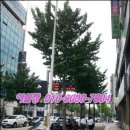 부천 법조타운 이미지