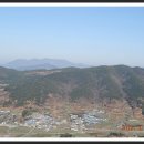 고향산천 Daum카페