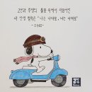 불행의 시작은 비교로부터 이미지