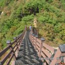 곡성-199 이미지