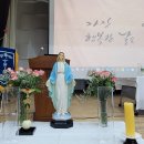 2025.09.06. 레지오마리애 평의회 간부 및 Pr. 간부 피정, 안동 사도들의 모후 Re. 승격 25주년 감사미사 이미지