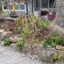 힐스톤 캠핑장 이미지