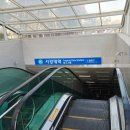 완도2호선 네이버블로그
