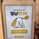 멍냥펫24 상봉역점 네이버블로그