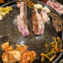 하기고기 티스토리