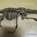 스테고사우루스-2 이미지