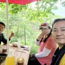 충우농장 | 아래에서 피는 꽃... 낙화!